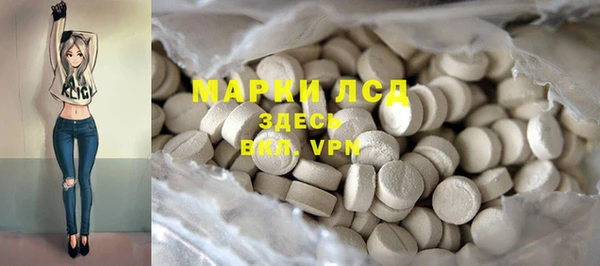 индика Нефтекумск