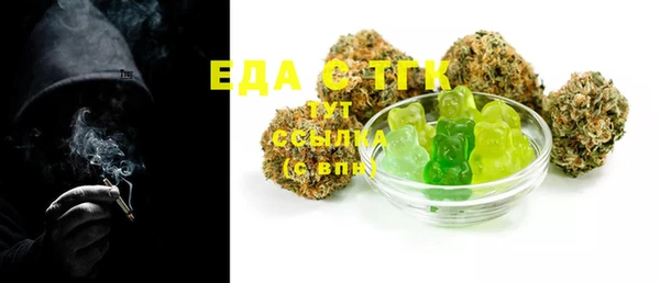 индика Нефтекумск
