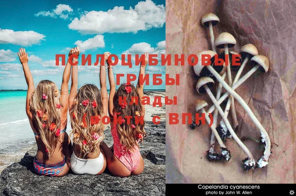 СК Нефтегорск