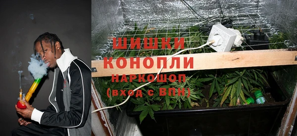 индика Нефтекумск
