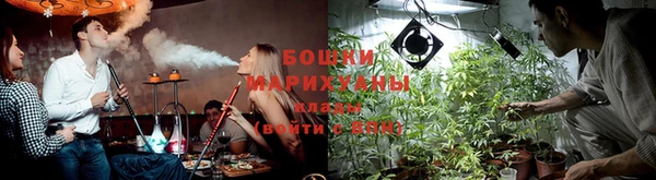 индика Нефтекумск