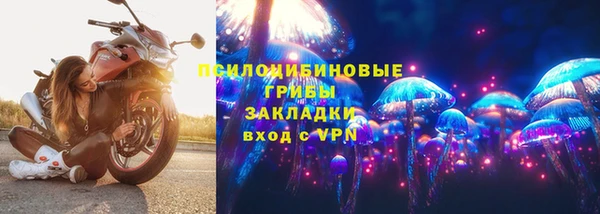 PSILOCYBIN Надым